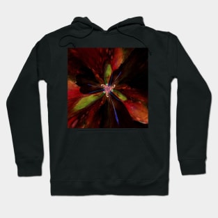 Fidget Spinner Hoodie